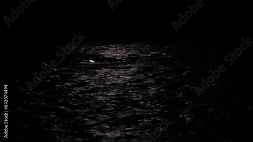 Moonlight on the river