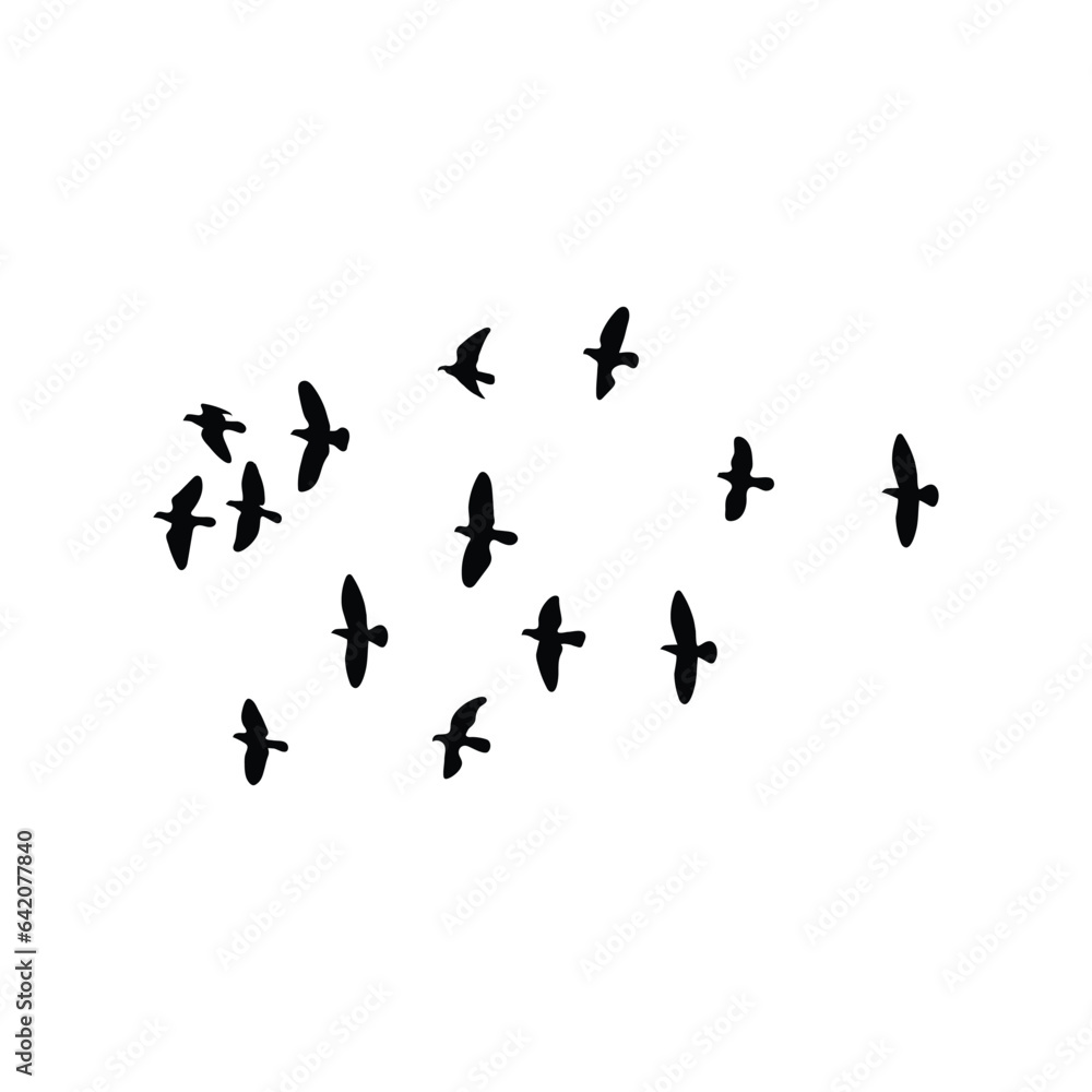 Flocks of free birds are soaring in the sky, vector silhouette.