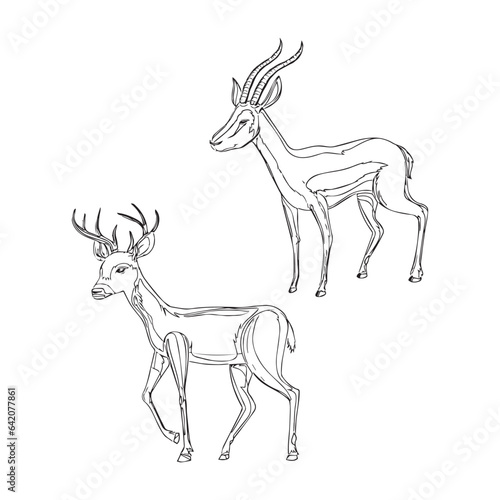 Deer Animal outline vector illustration.