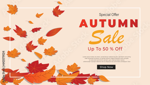 autumn sale background layout decorated with leaves of autumn for a shopping sale or banner, promo poster, frame leaflet, or web. Vector illustration.