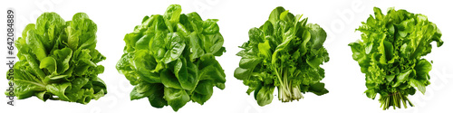 Studio photo of a cluster of crisp verdant salad leaves transparent background