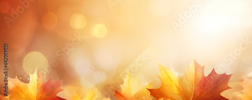 Autumn maple leaves decorative composition with copyspace