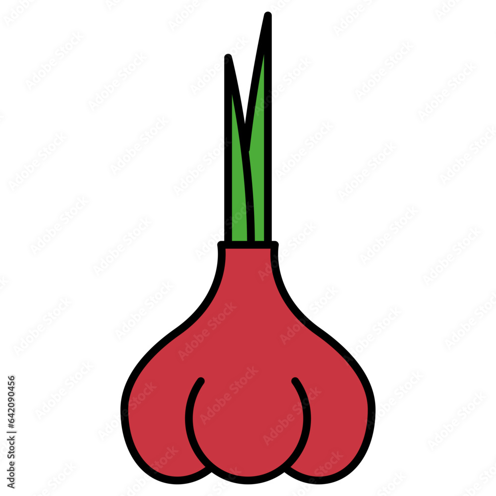 onion organic vegetable 