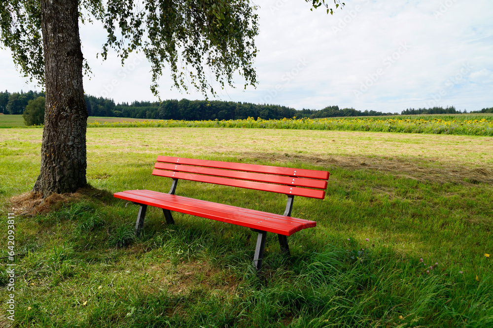 a serene and peaceful sunlit scene with the blue sky, a green meadow and a red bench on a fine summer day in the bavarian village Birkach, Bavaria, Germany a serene and peaceful sunlit scene with the blue sky, a green meadow and a red bench on a fine summer day in the bavarian village Birkach, Bavaria, Germany