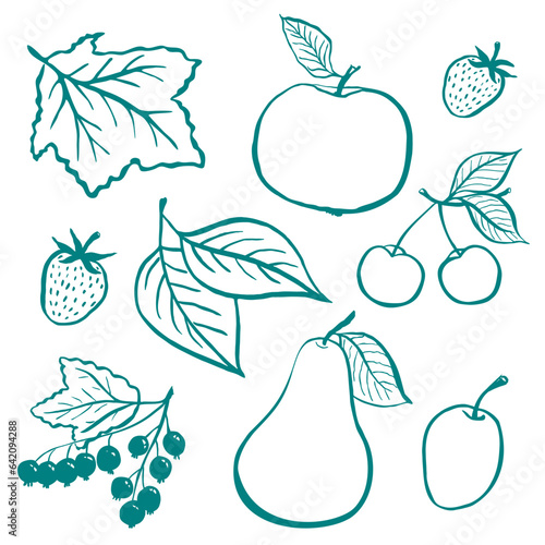 Collection of summer fruits  apple  cherry  pear  strawberry  plum  apricot  black currant  leaves. Vector illustration in sketch hand drawn style.