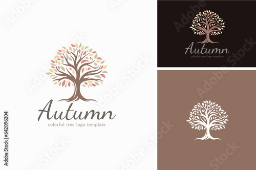 Old Tree Branches Leaves of Oak Maple with Fall Autumn Colors Silhouette logo design