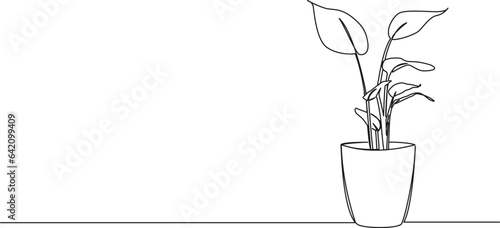 continuous single line drawing of potted plant, line art vector illustration