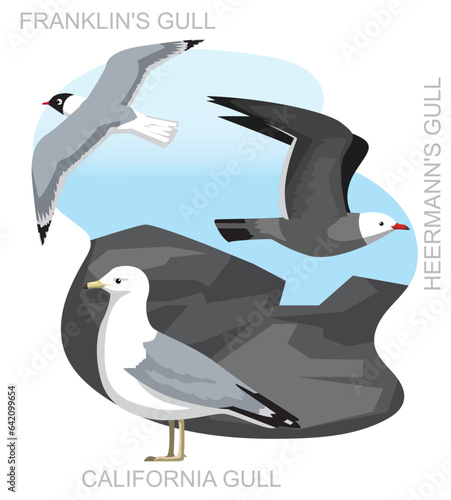Cute Bird Gull Seagull California Set Cartoon Vector