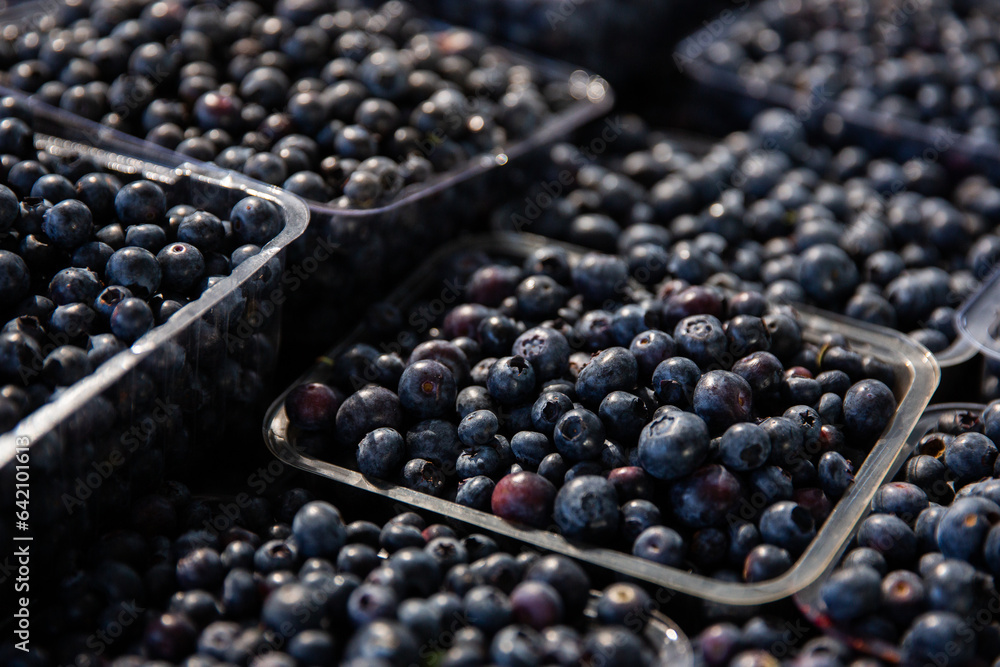 fresh berries in the morning light at the markets fresh berries in the morning light at the markets