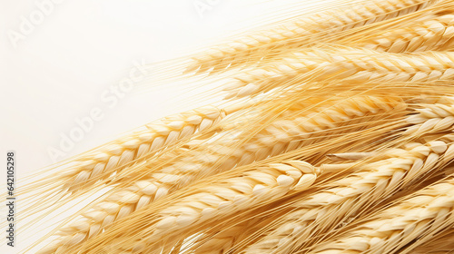 Barley, close-up