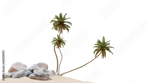 Tropical tree with beach or oasis footage, animation group of tree on white background with alpha, 3d illustration rendering