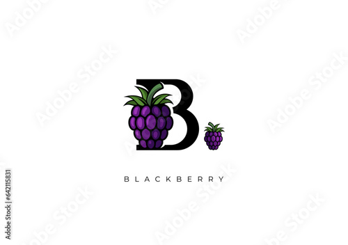 FRUIT VECTOR - BLACKBERRY