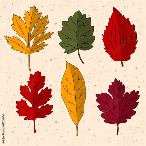Set of colorful autumn leaves.