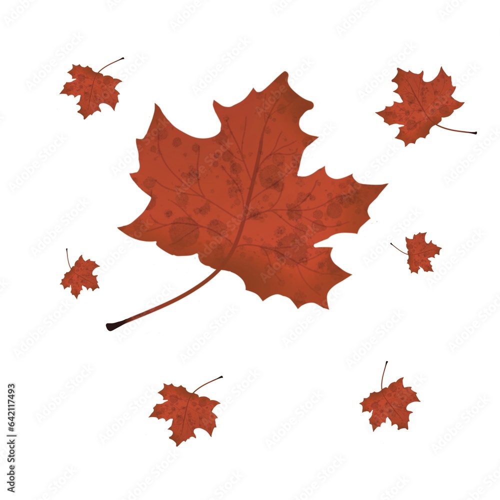 Fototapeta premium Autumn5