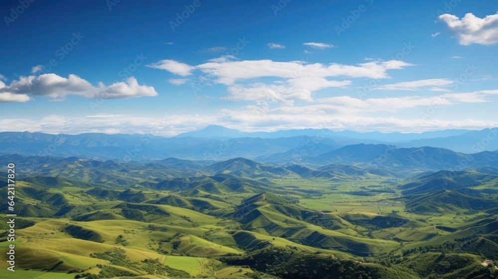 Naklejka premium Panorama view of valley with wild flower and clear sky