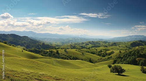 Panorama view of valley with wild flower and clear sky