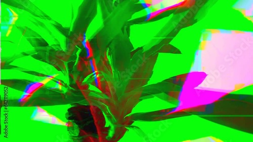 Abstract footage with a green plant with a glitch effect. Motion graphic design. Glitched abstract background with a digital signal error and collapsing data. Element of design. 