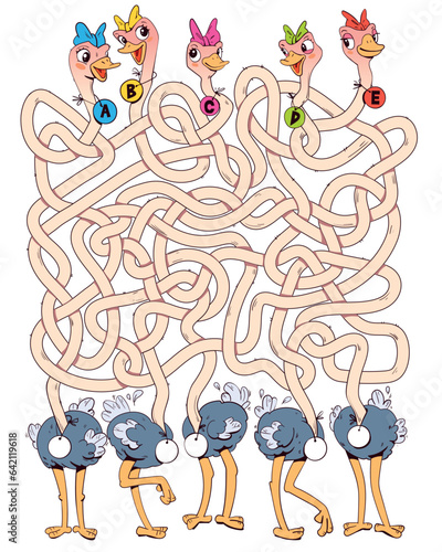 Funny ostriches with long, tangled necks. Children logic game to pass the maze. Educational game for kids. Choose right path. Write correct answers. Funny cartoon character. Isolated white background