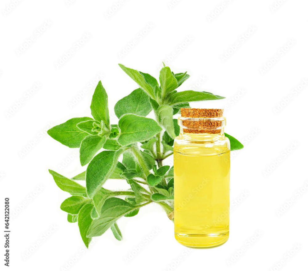 Oregano essential oil in a bottle isolated on a white background Oregano essential oil in a bottle isolated on a white background