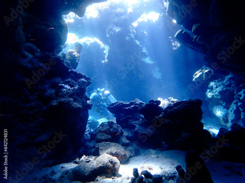 Scuba diving in a cave in the deep south of egypt at st. johns reef