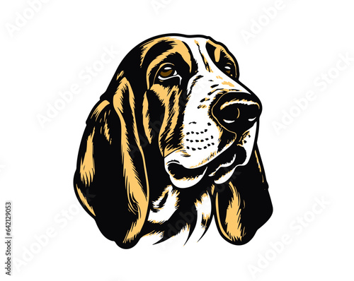 Dog breed Basset Hound. Vector illustration design.
