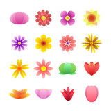 colorful floral set with different types of flowers