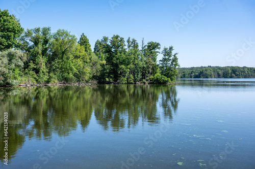 Trees reflectig in a water pond around Nettetal,  Germany photo