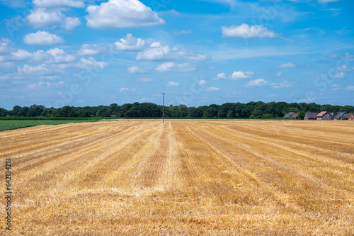 Obraz na plátně Golden mowed wheat fields over blue sky around Viersen, Westphalia, Germany