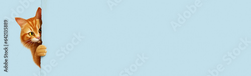 Cute ginger cat character peeking out from behind a blue wall.