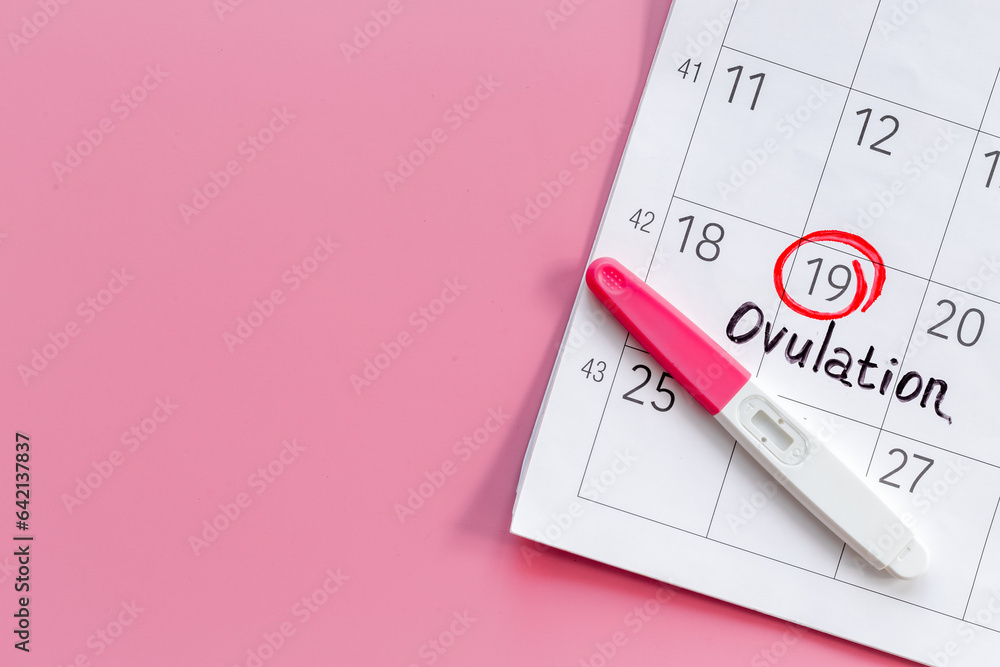 Fototapeta premium Ovulation day marked on calendar for pregnancy planning