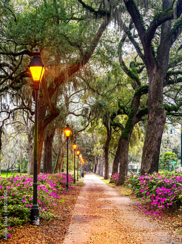 Forsyth Fountain,Forsyth Park .Savannah,Georgia,.United States of America photo