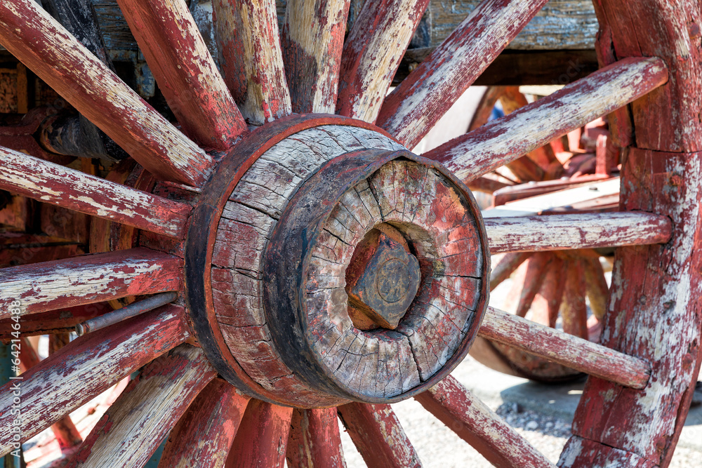 Wagon wheel at furnace creek, Death Valley, California.