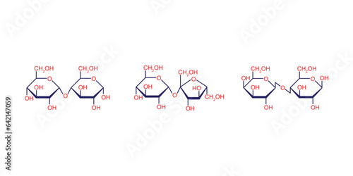 Disaccharides Types Concept Design. Vector Illustration.