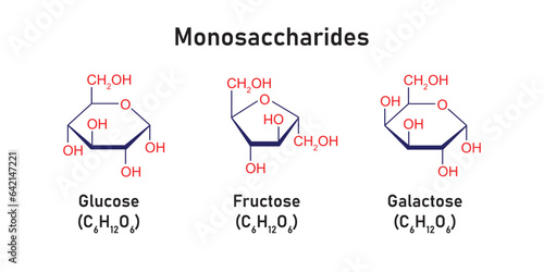 Monosaccharides Types Concept Design. Vector Illustration.