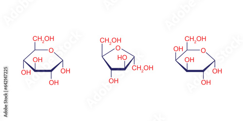 Monosaccharides Types Concept Design. Vector Illustration.