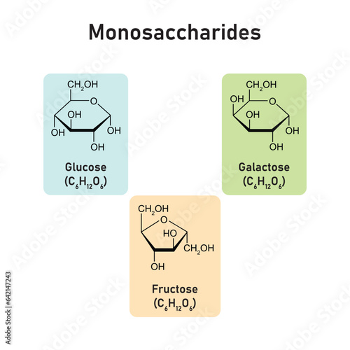 Monosaccharides Types Concept Design. Vector Illustration.