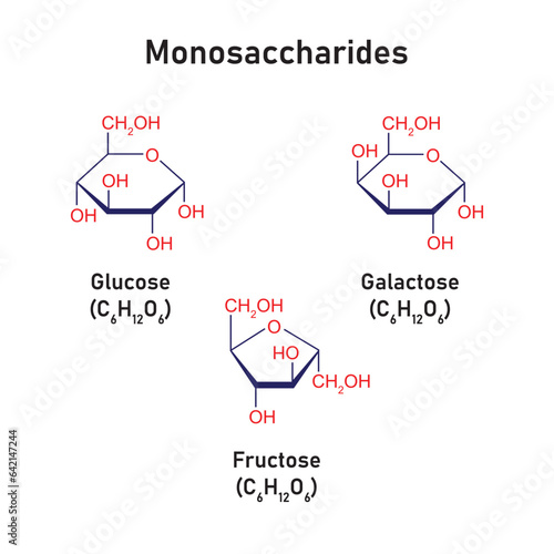 Monosaccharides Types Concept Design. Vector Illustration.