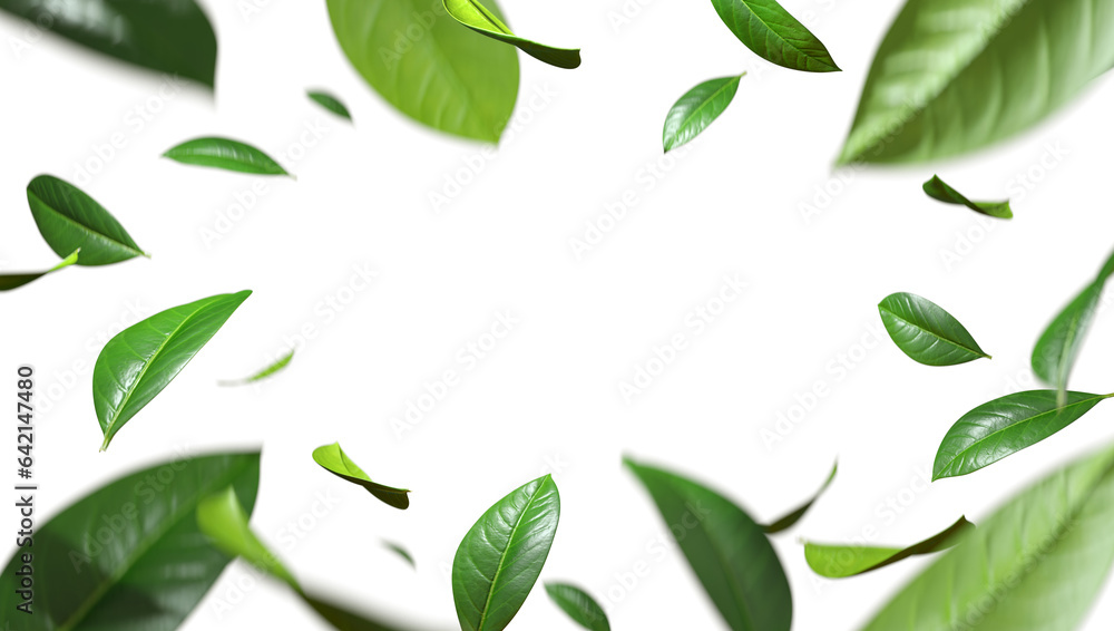 Greenery leaves flying movement around copy-space cutout transparent backgrounds 3d rendering png - obrazy, fototapety, plakaty 