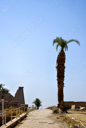 Ruins of Karnak Temple complex with palm trees (ancient Thebes). Luxor, Egypt, museum, travel. Copy space.