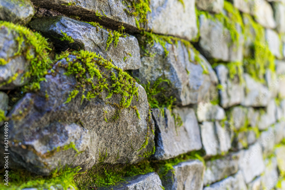 苔の生えた歴史を感じる石の壁