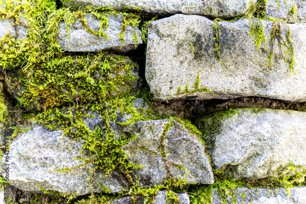 苔の生えた歴史を感じる石の壁