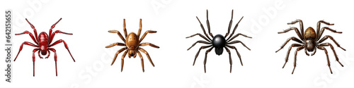 Spider clipart collection, vector, icons isolated on transparent background