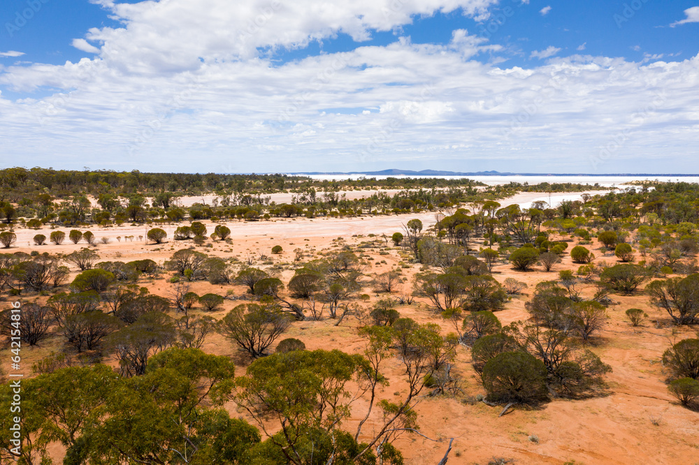 Aerial view of the bush and a salt lake in the Outback from Western Australia, Australia, Ozeania
