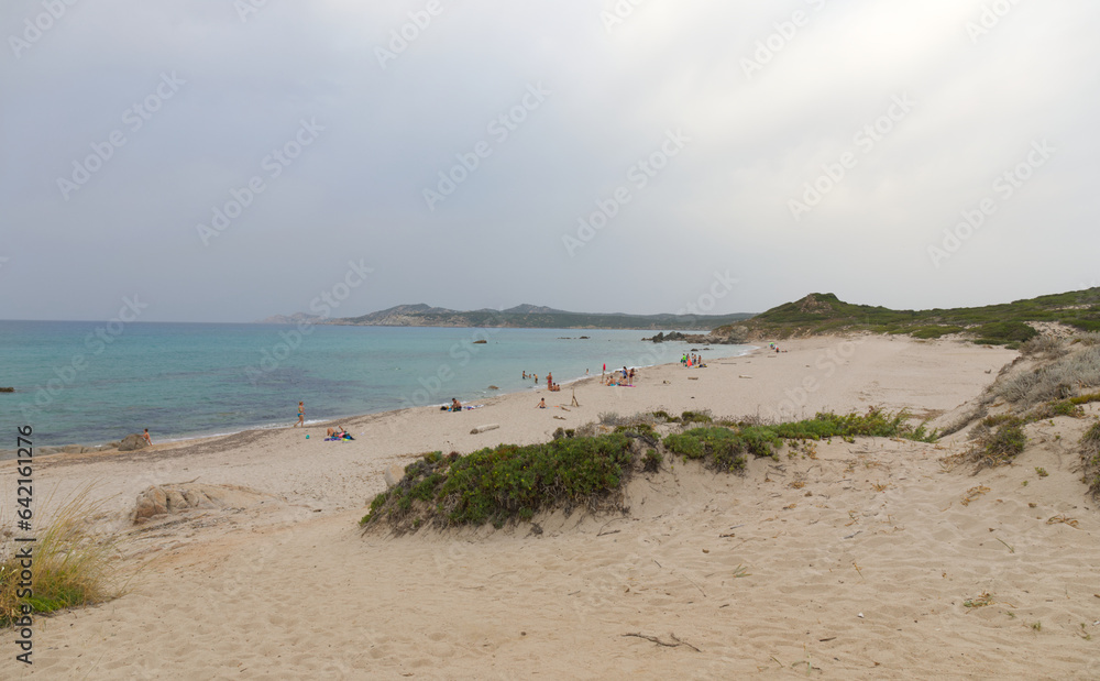 View of the beach in Sardinia, white sand, wild