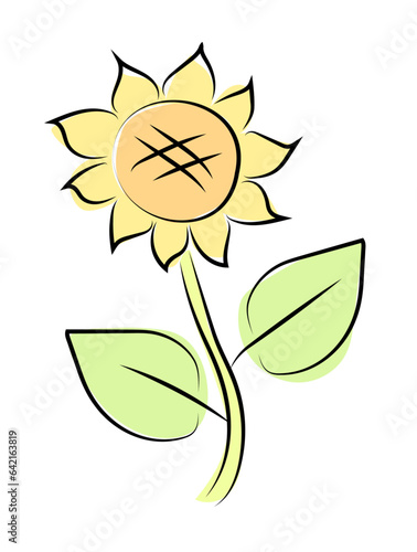 Słonecznik ilustracja
