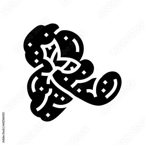 popcorn white pop glyph icon vector. popcorn white pop sign. isolated symbol illustration