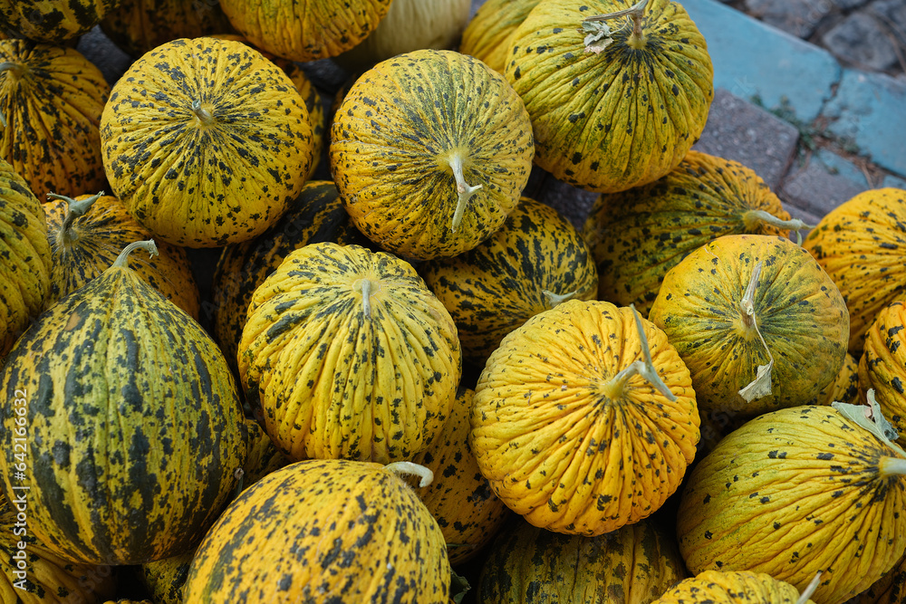 Pre-sale preparation of harvested delicious melons.