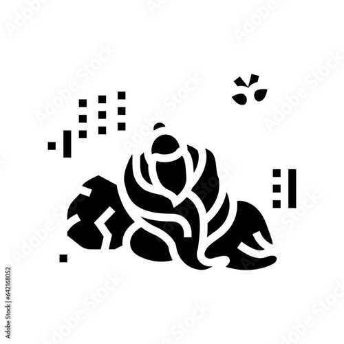 zhuangzi butterfly dream glyph icon vector. zhuangzi butterfly dream sign. isolated symbol illustration