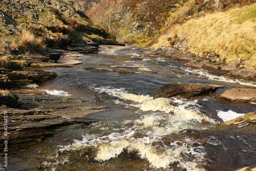 river in the forest river in the forest