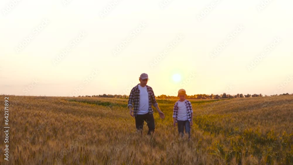 Authentic farmer man walks with his little son through a field of ripe wheat. Happy family at sunset. Father and child. Agricultural. Teamwork concept. Authentic farmer man walks with his little son through a field of ripe wheat. Happy family at sunset. Father and child. Agricultural. Teamwork concept.